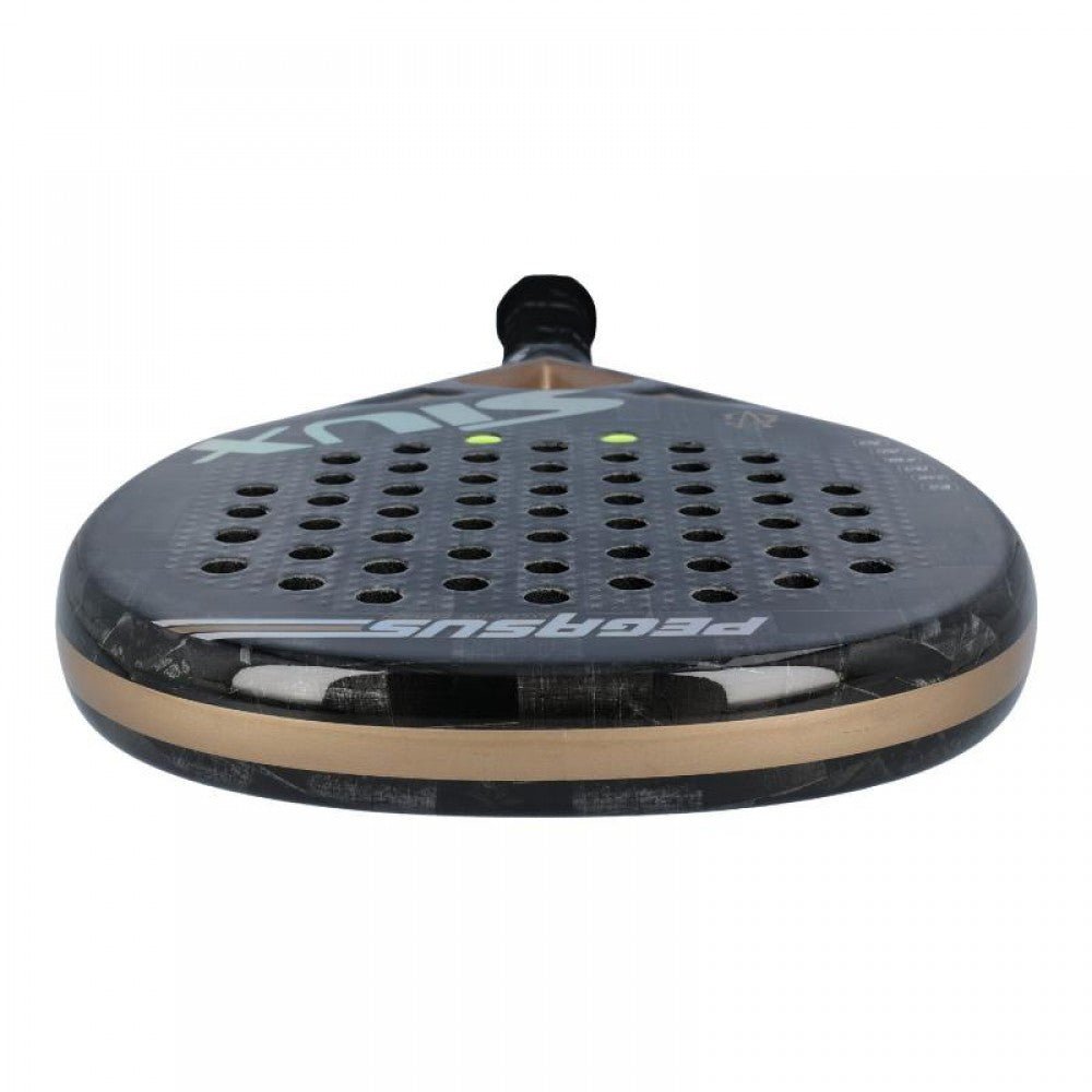 Padelio Raketė Siux Pegasus Gv Edition - Servuok